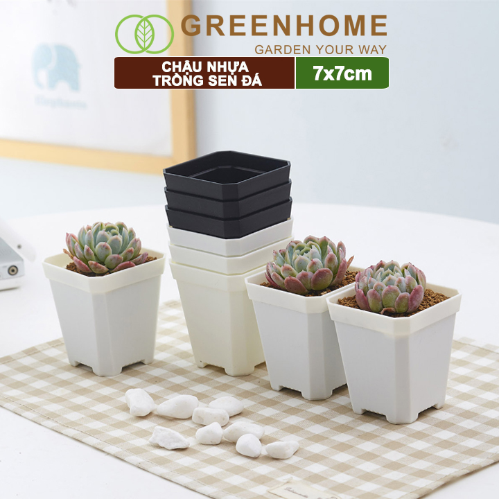 Chậu nhựa trồng sen đá, 7x7cm, bền, đẹp, màu sắc hiện đại, màu ngẫu nhiên, không dĩa |Greenhome