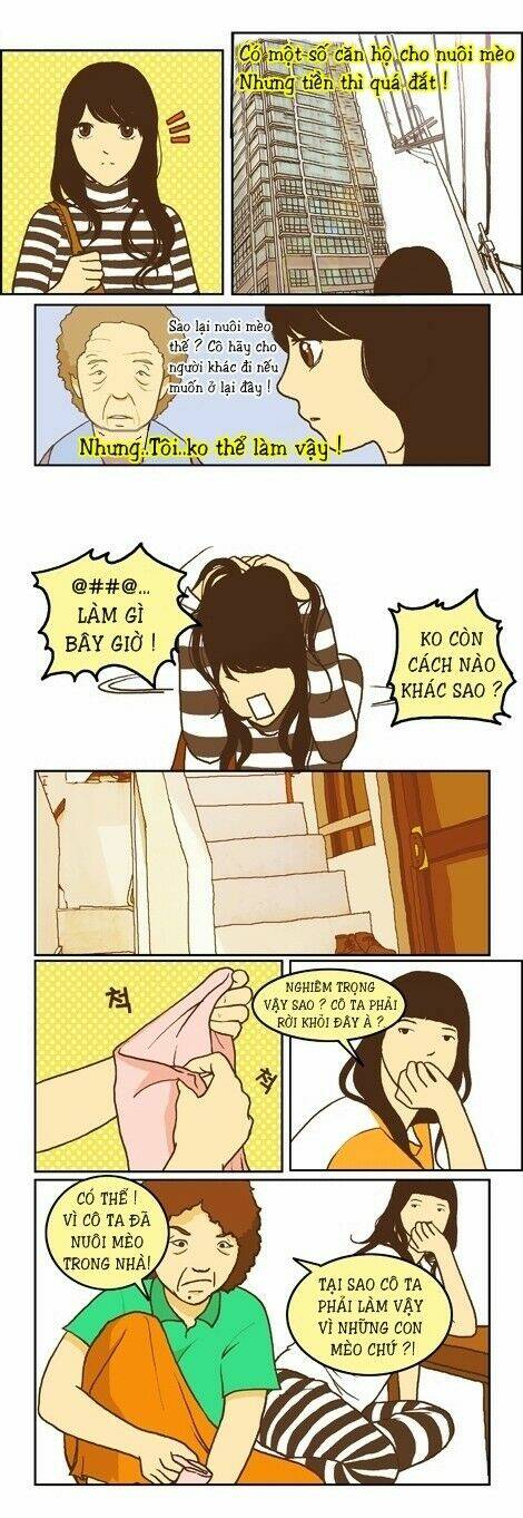 papi nyang chapter 12 2