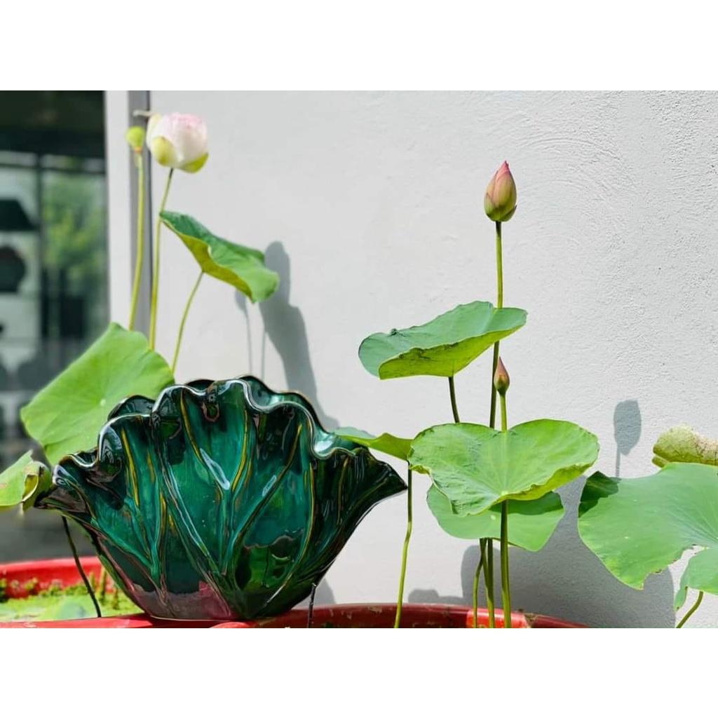 Bình cắm hoa decor siêu đẹp, làn cắm hoa Bát Tràng dáng lá sen men hỏa biến - Gốm Nghệ Nhân