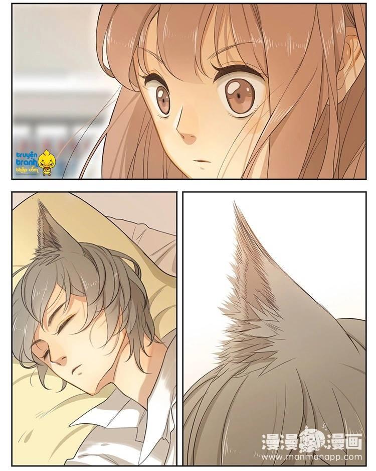 cứu mạng ! loài mèo thống trị thế giới rồi ! chapter 16 3