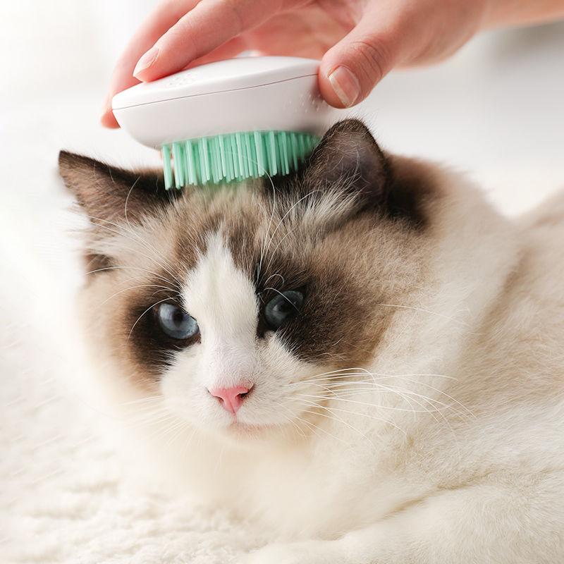 Bàn Chải Cho Chó Mèo, Bàn Chải Cho Chó Tự Vệ Sinh, Bàn Chải Cho Mèo, Bàn Chải Cho Chó, Bàn Chải Chải Lông, Bàn Chải Chải Lông Cho Thú Cưng
