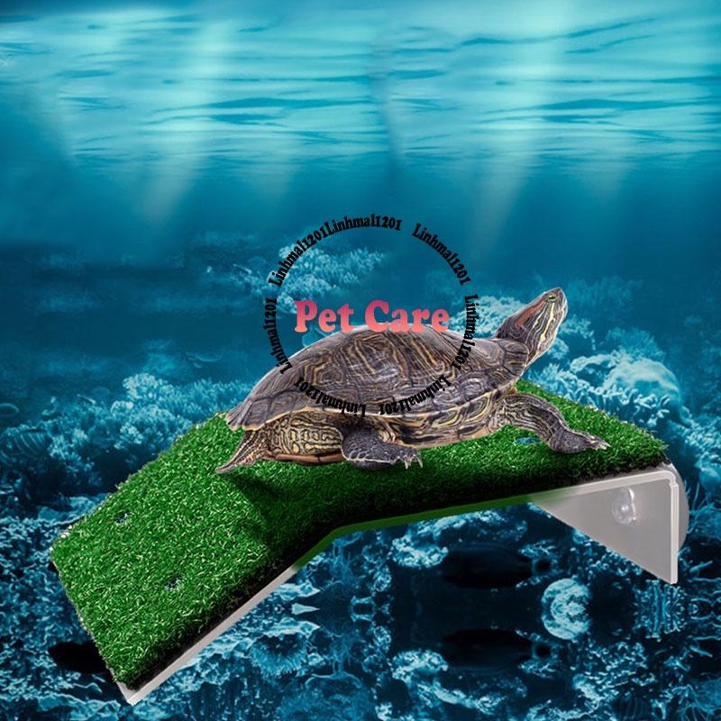 Bệ phơi nắng rùa cỏ nhân tạo