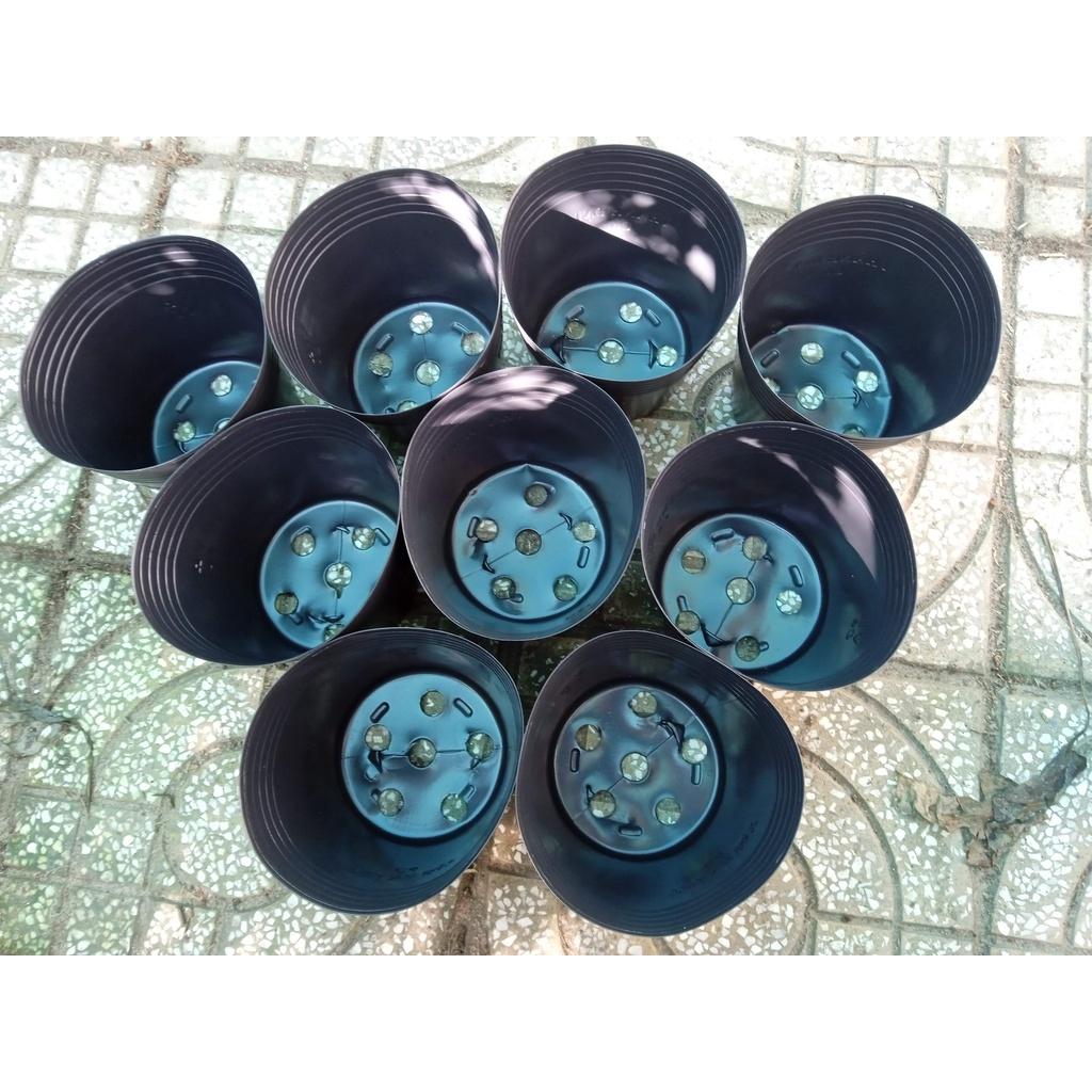 Chậu nhựa đen C6 - Nhựa bóng, dẻo, bền