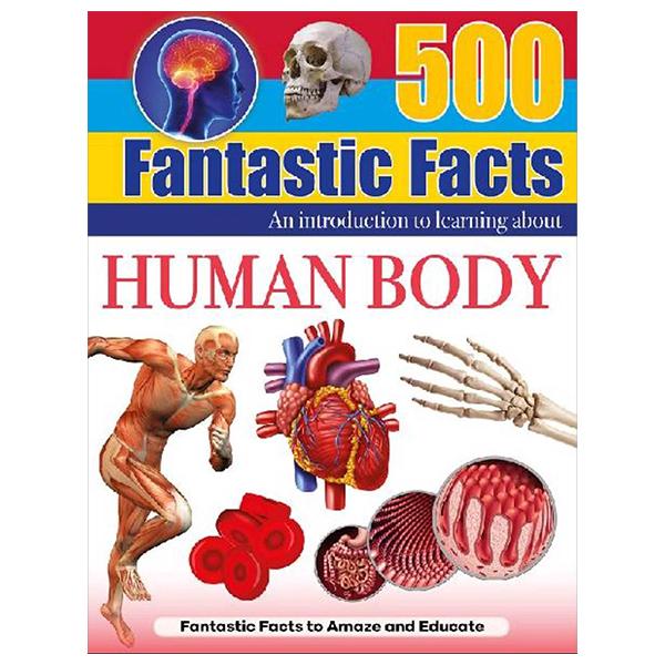 500 Fantastic Facts - Human Body