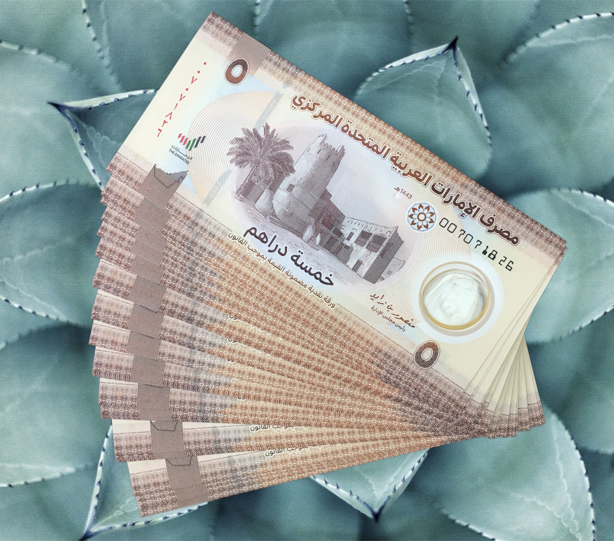 Các tiểu vương quốc Ả Rập Thống Nhất 5 Dihams UAE sưu tầm 2022 - Tiền mới keng 100%