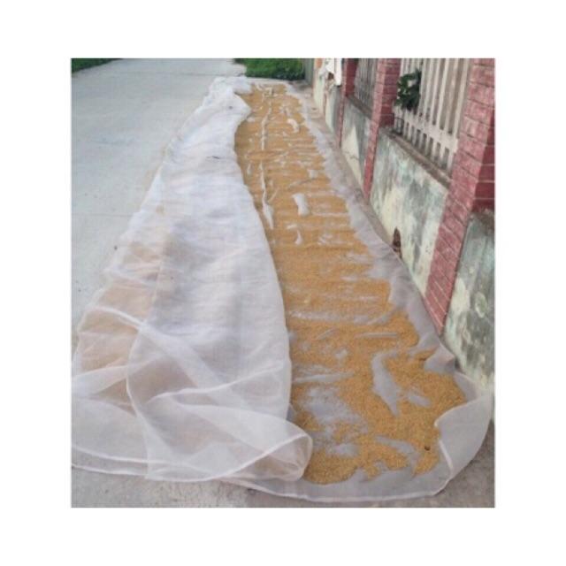 2mx 20m Lưới Chắn Côn Trùng, Lưới Chắn Bụi, Lưới Phơi Nông Sản