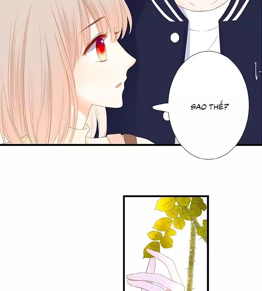 hoa chưa nở rộ chapter 20 19