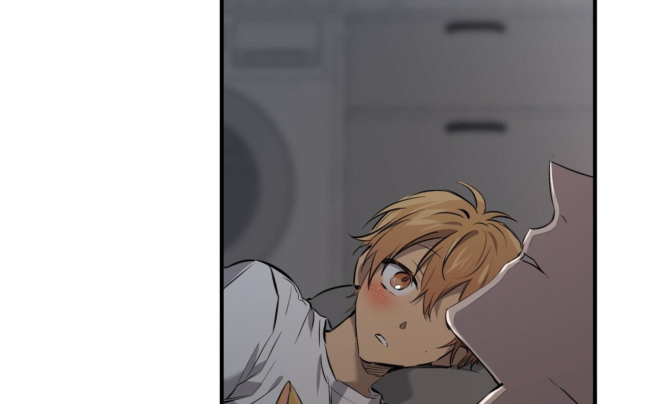 đàn thỏ của habibi chapter 52 100