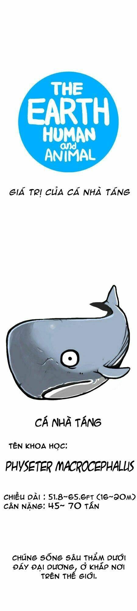 earth, human, and animal chapter 13 6