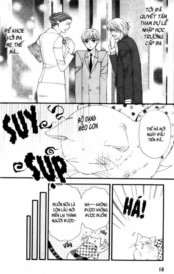 neko neko honey chapter 1 17