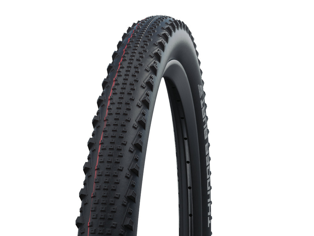 Vỏ xe đạp tubeless Schwalbe Thunder Burt Evo TLE [29x2.25]