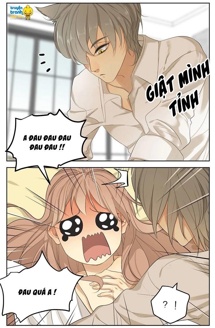 cứu mạng ! loài mèo thống trị thế giới rồi ! chapter 16 10