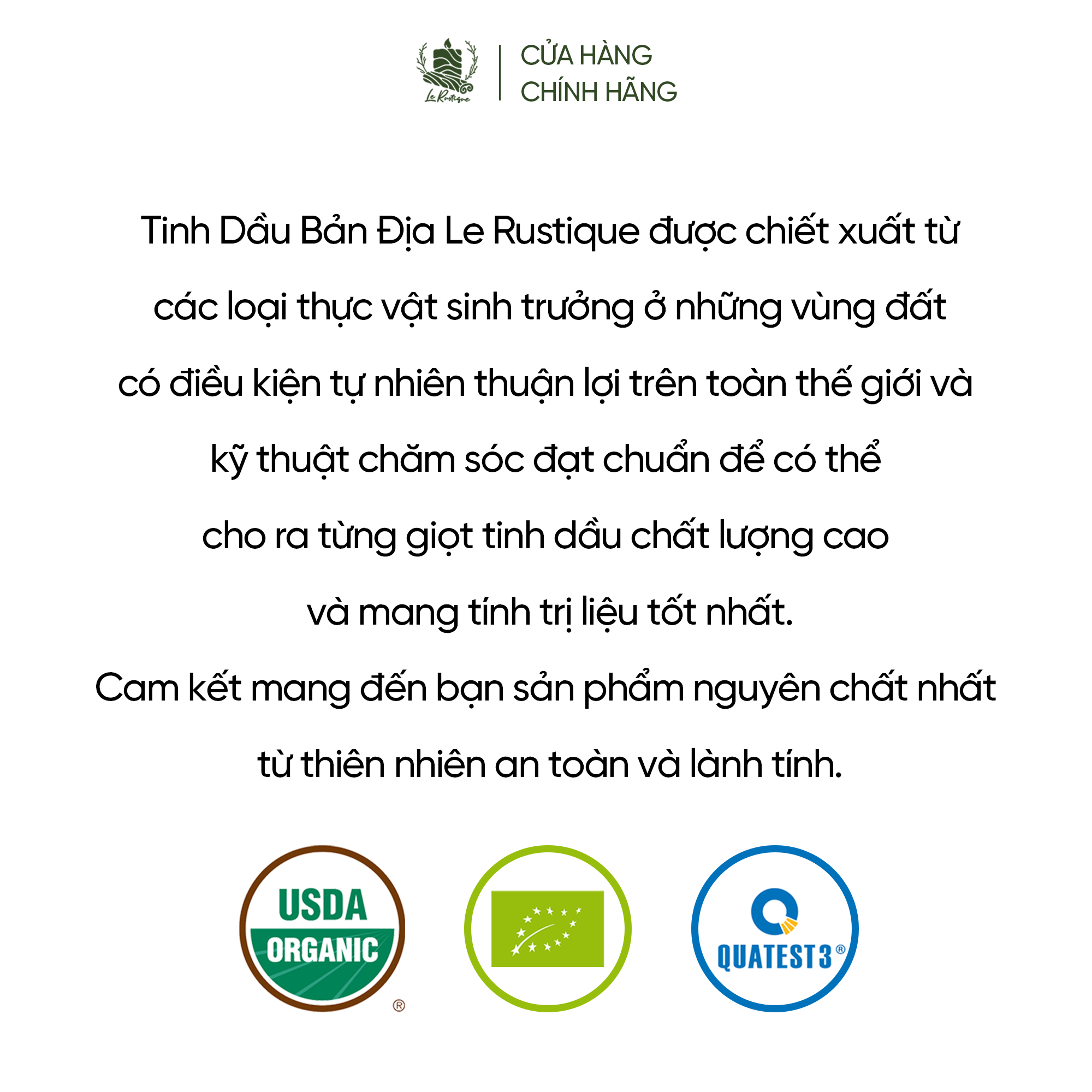 Tinh Dầu Xạ Hương - 100% Nguyên Chất Hữu Cơ - Le Rustique - Tinh Dầu Bản Địa Tây Ban Nha