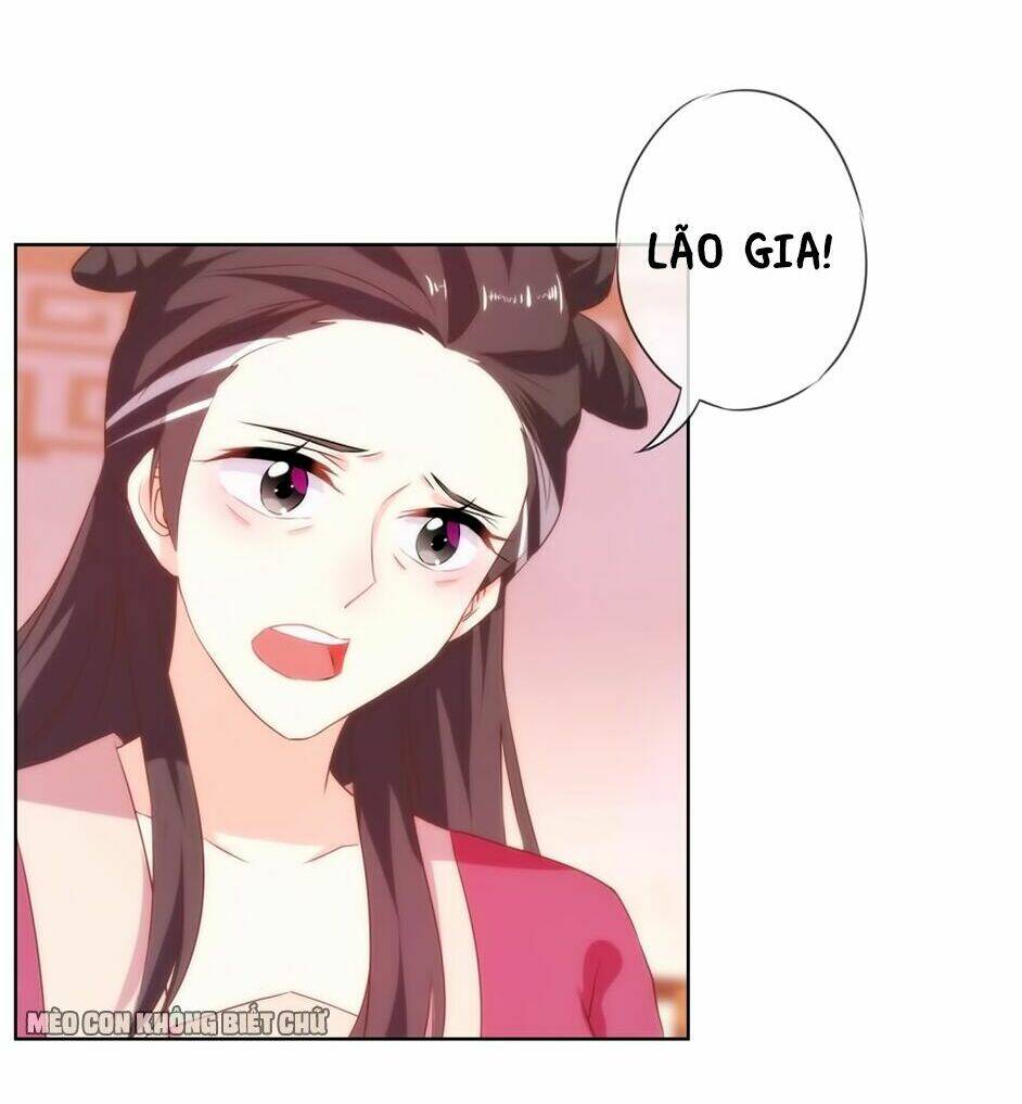 ồ, sủng phi đại nhân của ta chapter 2 13