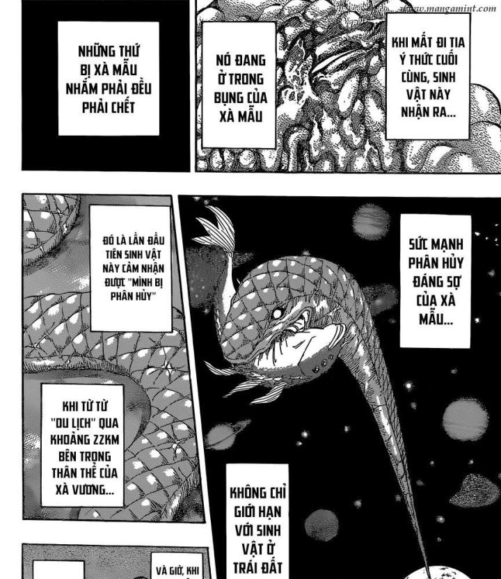 thánh tỏi sành ăn chapter 353 23