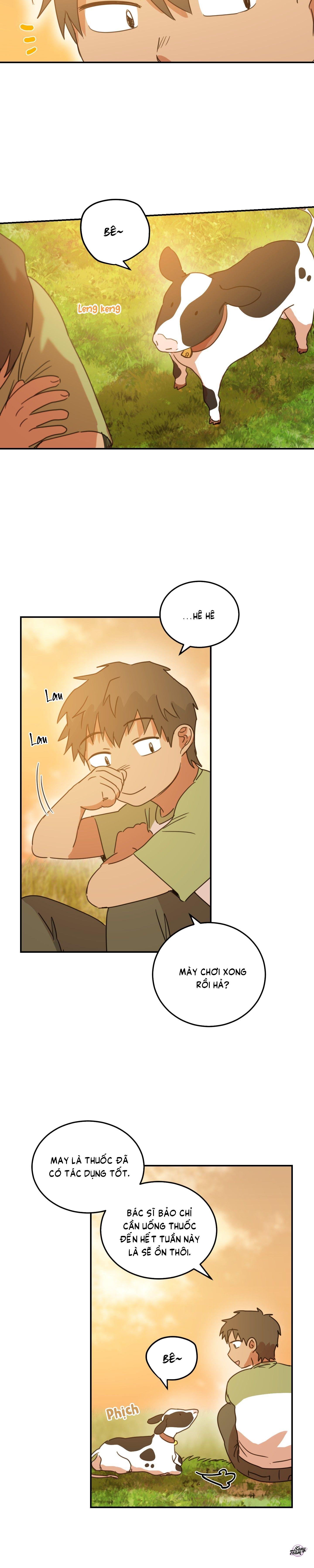 căn nhà mặt trời mọc chapter 45 12