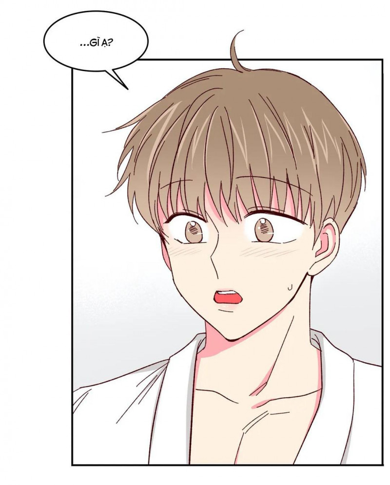 món tráng miệng của sếp tổng chapter 50 2