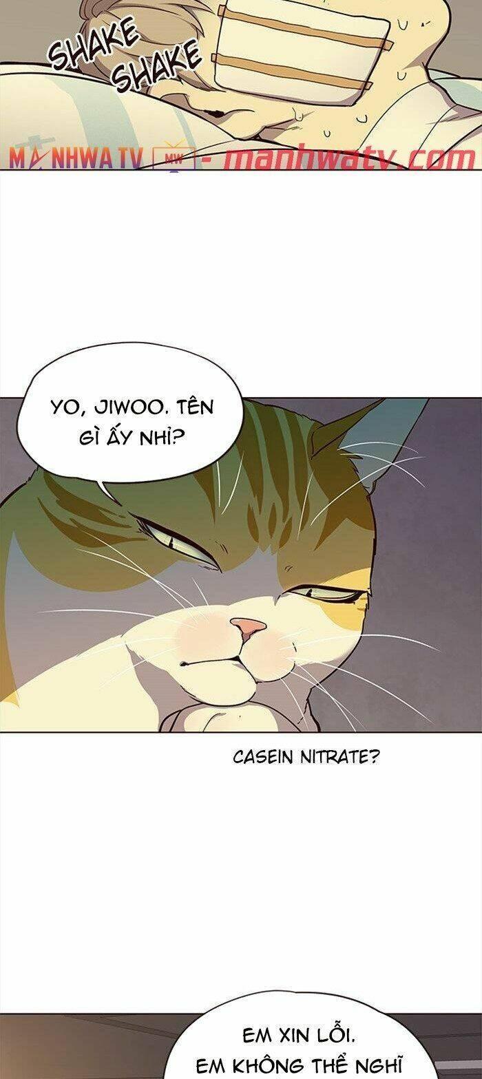 biến thân thành mèo chapter 29 14