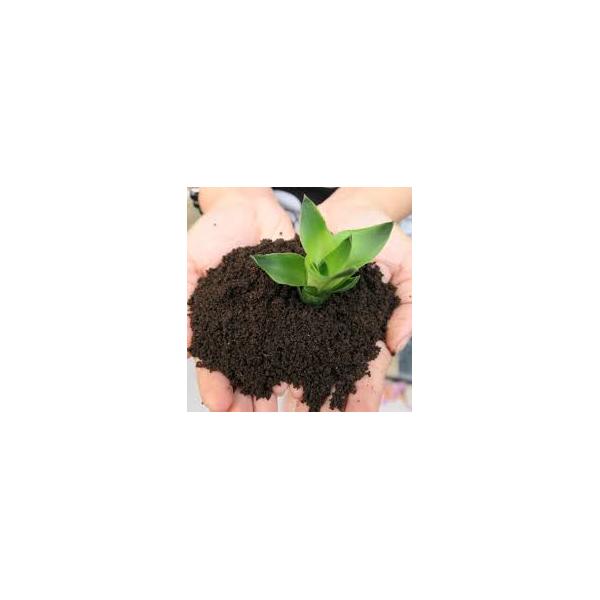 Phân trùn quế nguyên chất Lavamix (2kg)