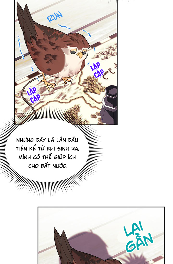 công chúa của loài chim chapter 6 60