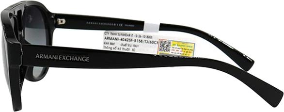 Kính Mát Unisex Armani Exchange AX4042SF 8158 T3