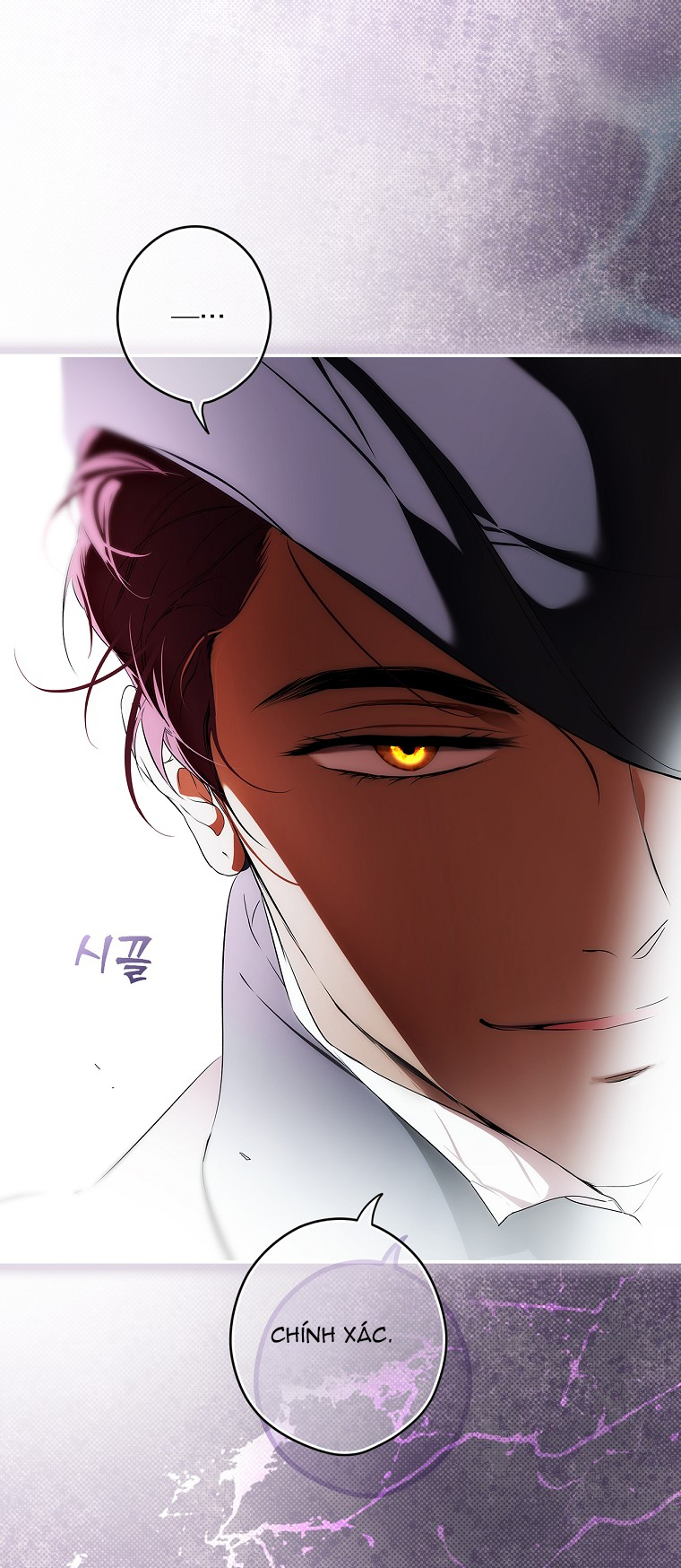 quý cô bí ẩn - secret lady chapter 94.2 21