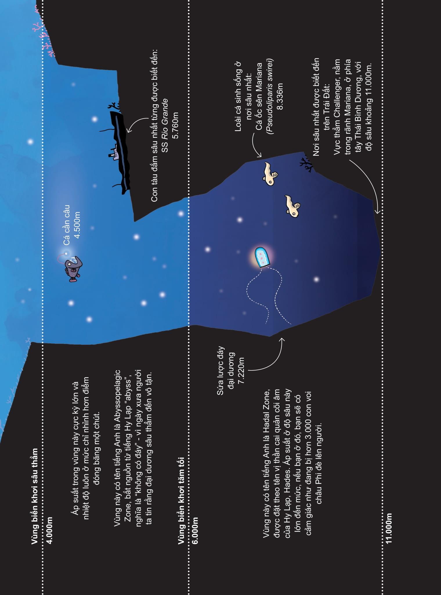 Sách - 24 Giờ Dưới Đại Dương