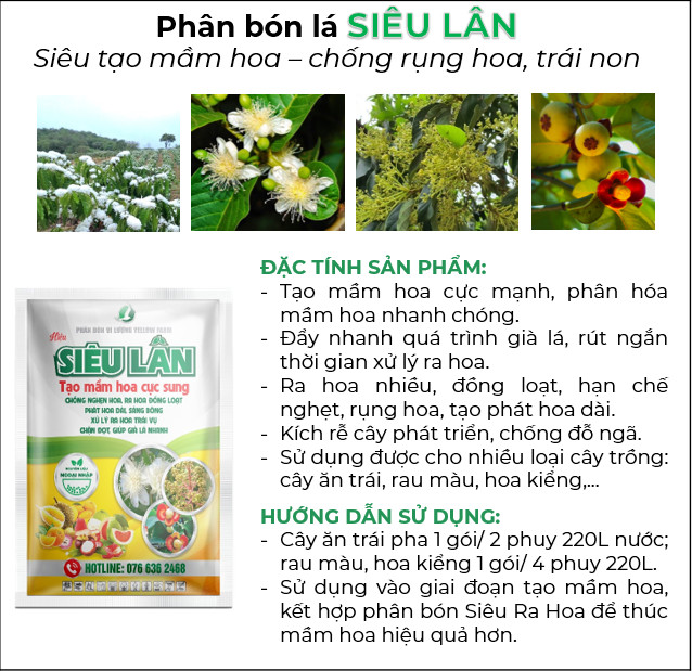 PHÂN BÓN XỬ LÝ RA HOA TRÁI VỤ, THÚC ĐẨY LÁ GIÀ NHANH - SIÊU LÂN