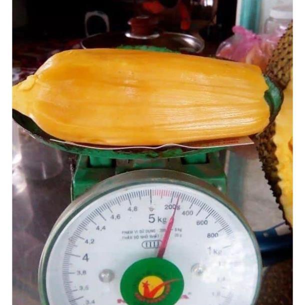 Sản phẩm MIT TRÁI DÀI MALAIXIA CHUẨN GIỐNG