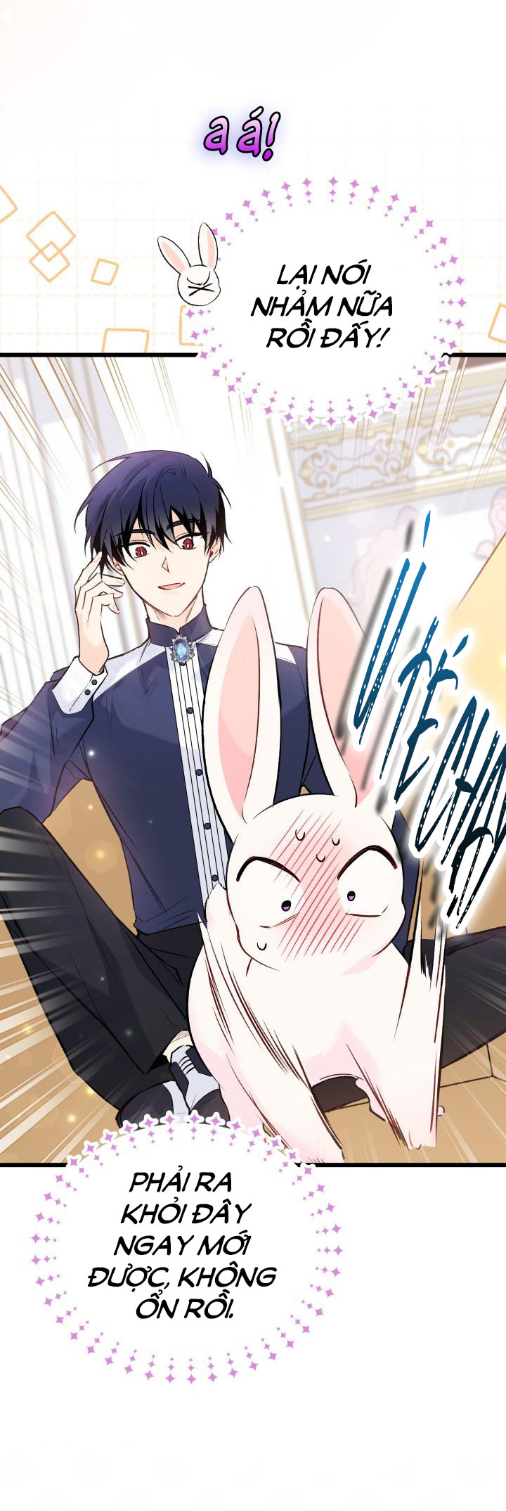 mối liên kết giữa báo đen và bé thỏ chapter 56 61
