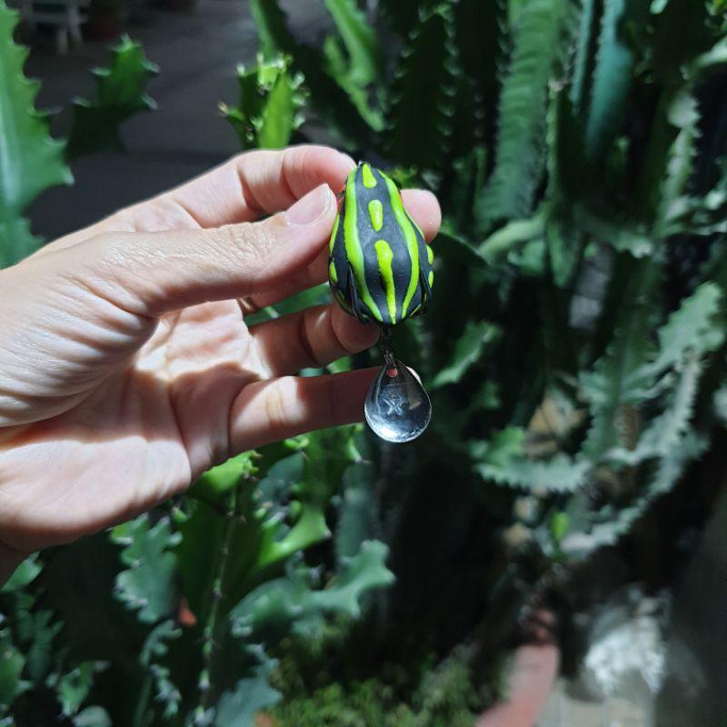 Nhái hơi Thái Lan Poison Frog / Chìm và nổi