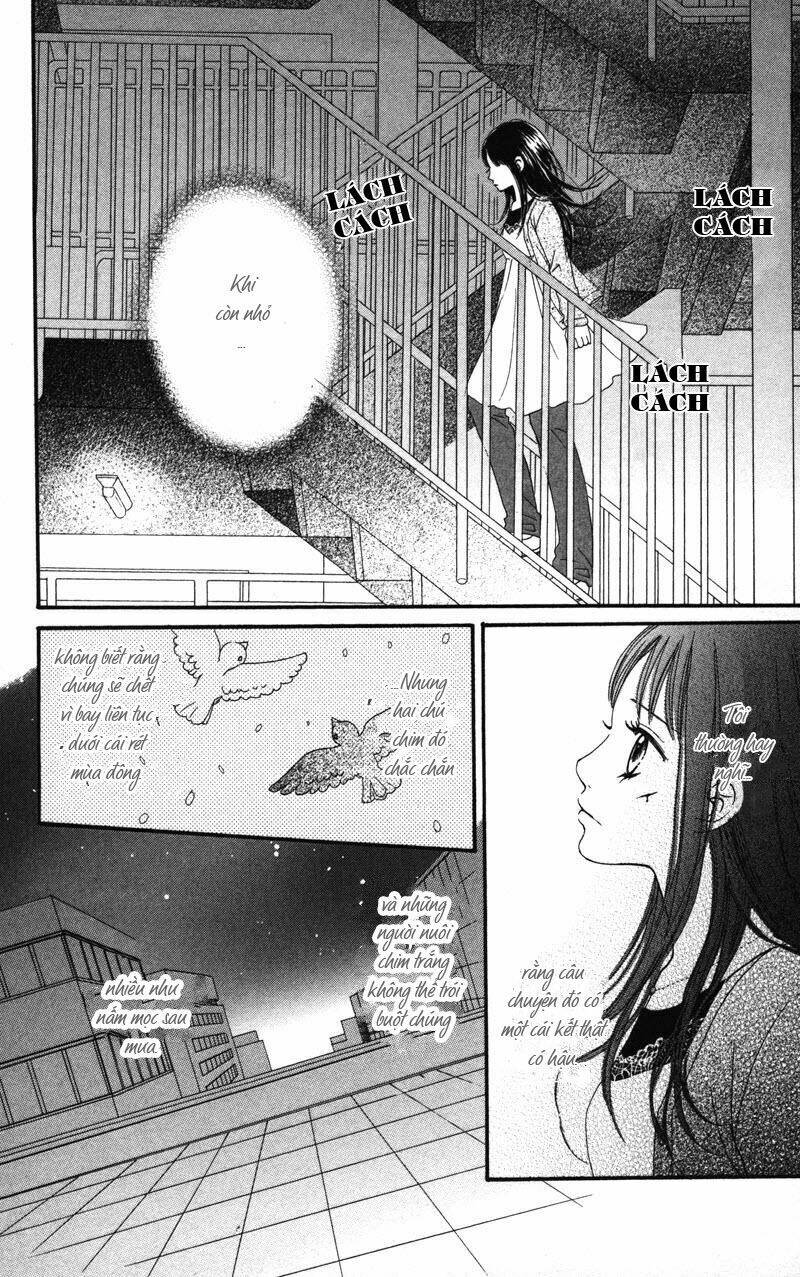 thiên thần gãy cánh chapter 3 20