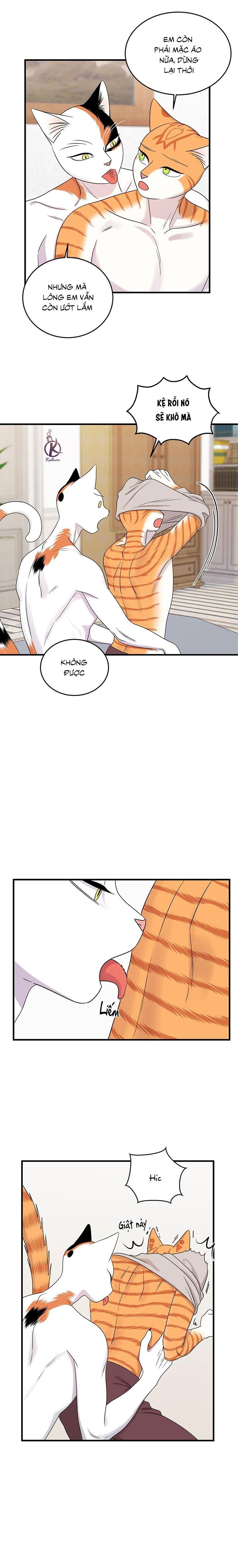 dự án xanh chapter 47 15