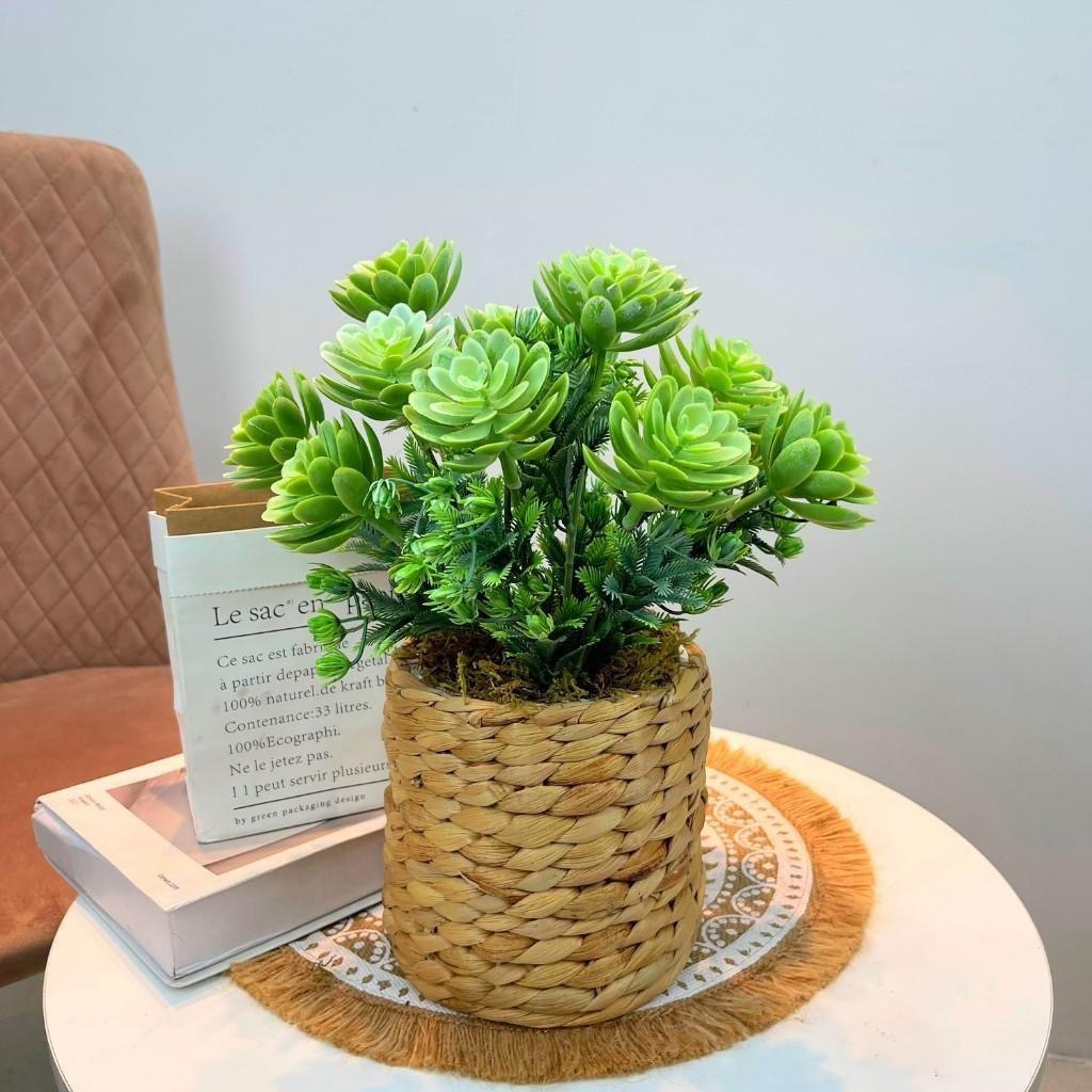 Chậu cây trang trí để bàn kèm giỏ y hình các loại - Cao 35cm đến 48cm - Cây giả, hoa lụa Decor trang trí nhà cửa