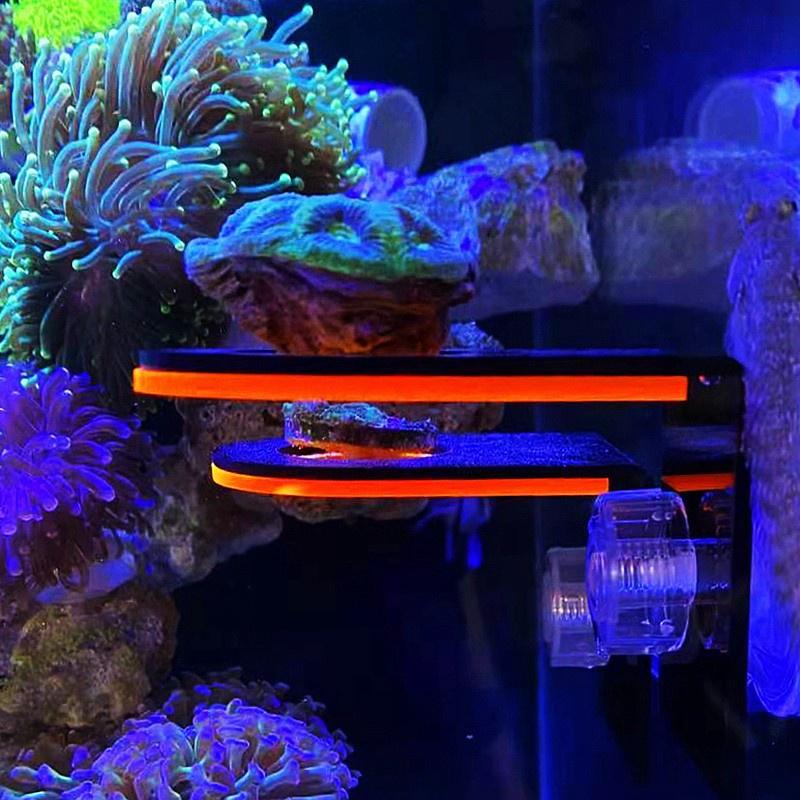 Giá đỡ san hô Acrylic Màu Dạ Quang - frag san hô- Scol bể cá san hô có hít kính - phụ kiện hồ nước mặn -shopleo
