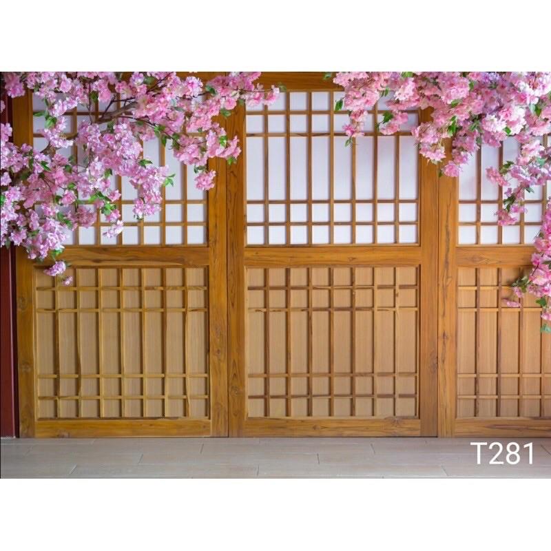 Phông nền chụp ảnh mã T281