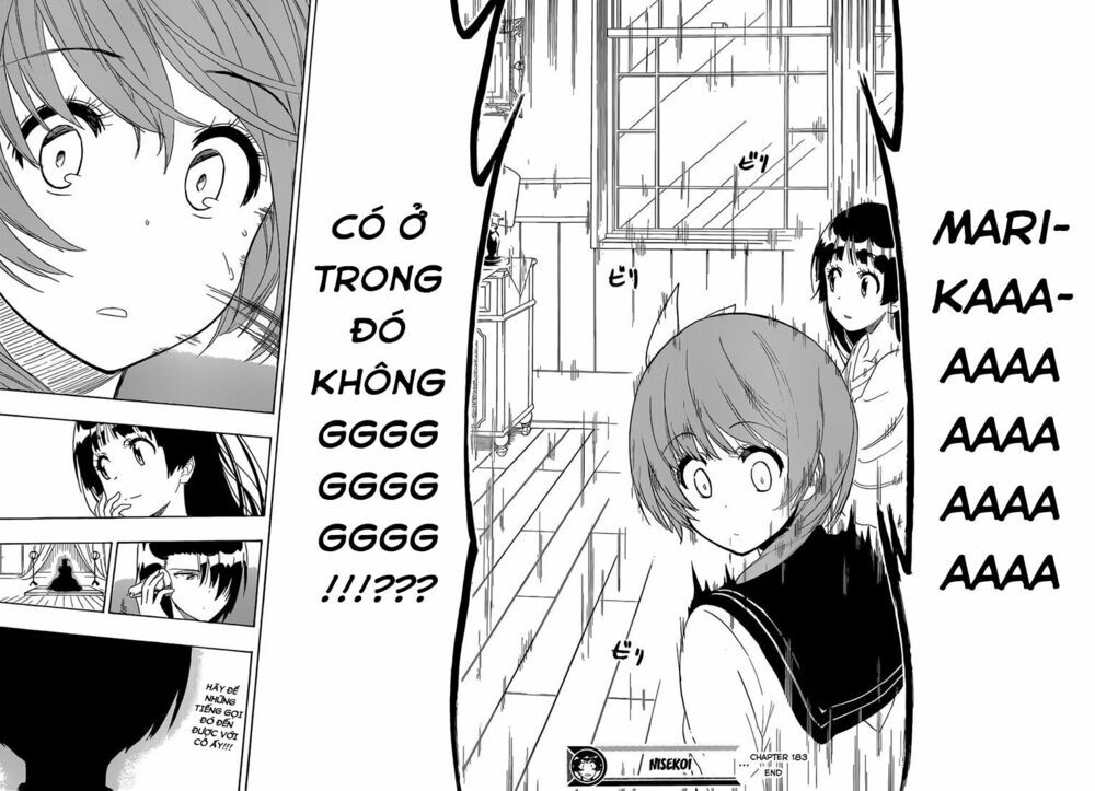 nisekoi - tình yêu giả tạo chapter 183 19