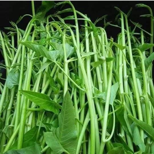 Hạt giống rau muống siêu ngọn - gói 10gram