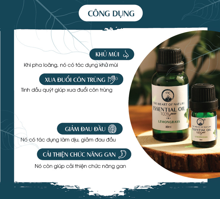 Tinh Dầu Cao Cấp Quýt PK 10ML - Tinh Dầu Quýt Thơm Phòng, Đuổi Muỗi, Thư Giãn - Chứng Nhận Hữu Cơ Organic FDA Hoa Kỳ duy nhất Việt Nam