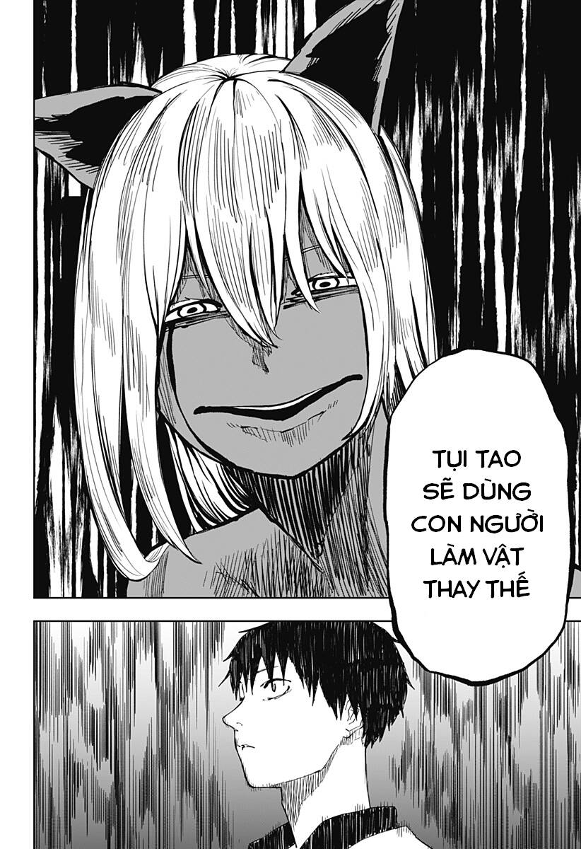 stage s chapter 8 21