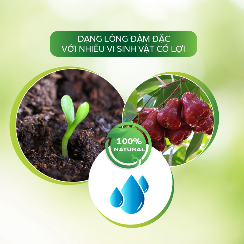 Nano Elicitor 250ml Diệt Khuẩn AT Siêu Kích Kháng Virus Chống Xoăn Ngọn Thể Khảm Trên Rau Sạch