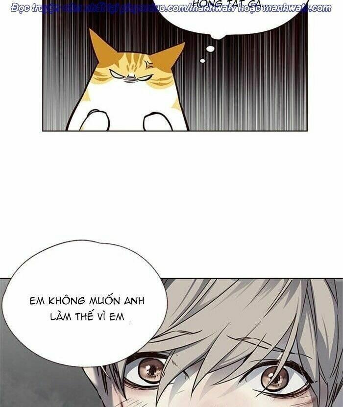 biến thân thành mèo chapter 46 88