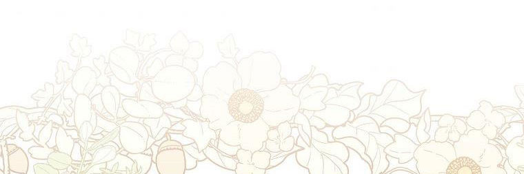 tiểu thư chỉ muốn được nghỉ ngơi chapter 59 364