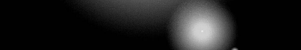 điều giáo quan hệ chapter 17 39