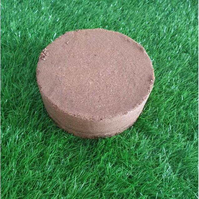 Đất sạch- mụn Dừa ép bánh,Viên nén Xơ Dừa Bánh Lớn 450Gr, Đất ươm hạt, Trồng rau, cây cảnh sân thượng