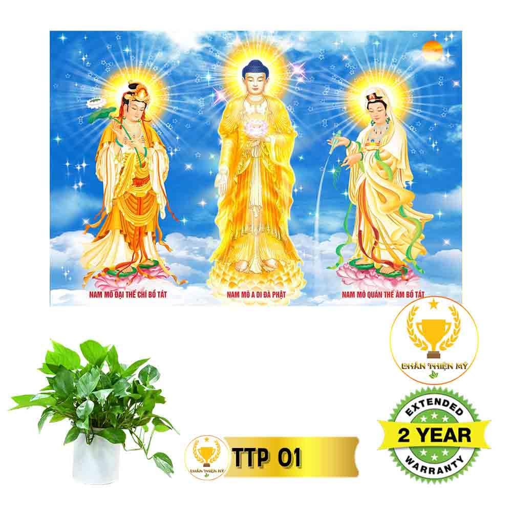 Tranh Tam Thế Phật có khung_TTPK1