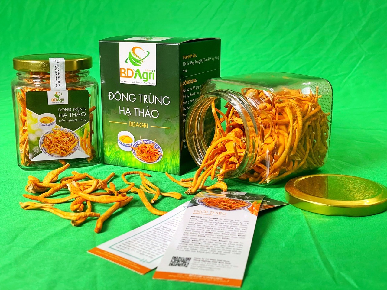 ĐÔNG TRÙNG HẠ THẢO BDAGRI SẤY THĂNG HOA (LỌ 10G) LOẠI TIÊU CHUẨN