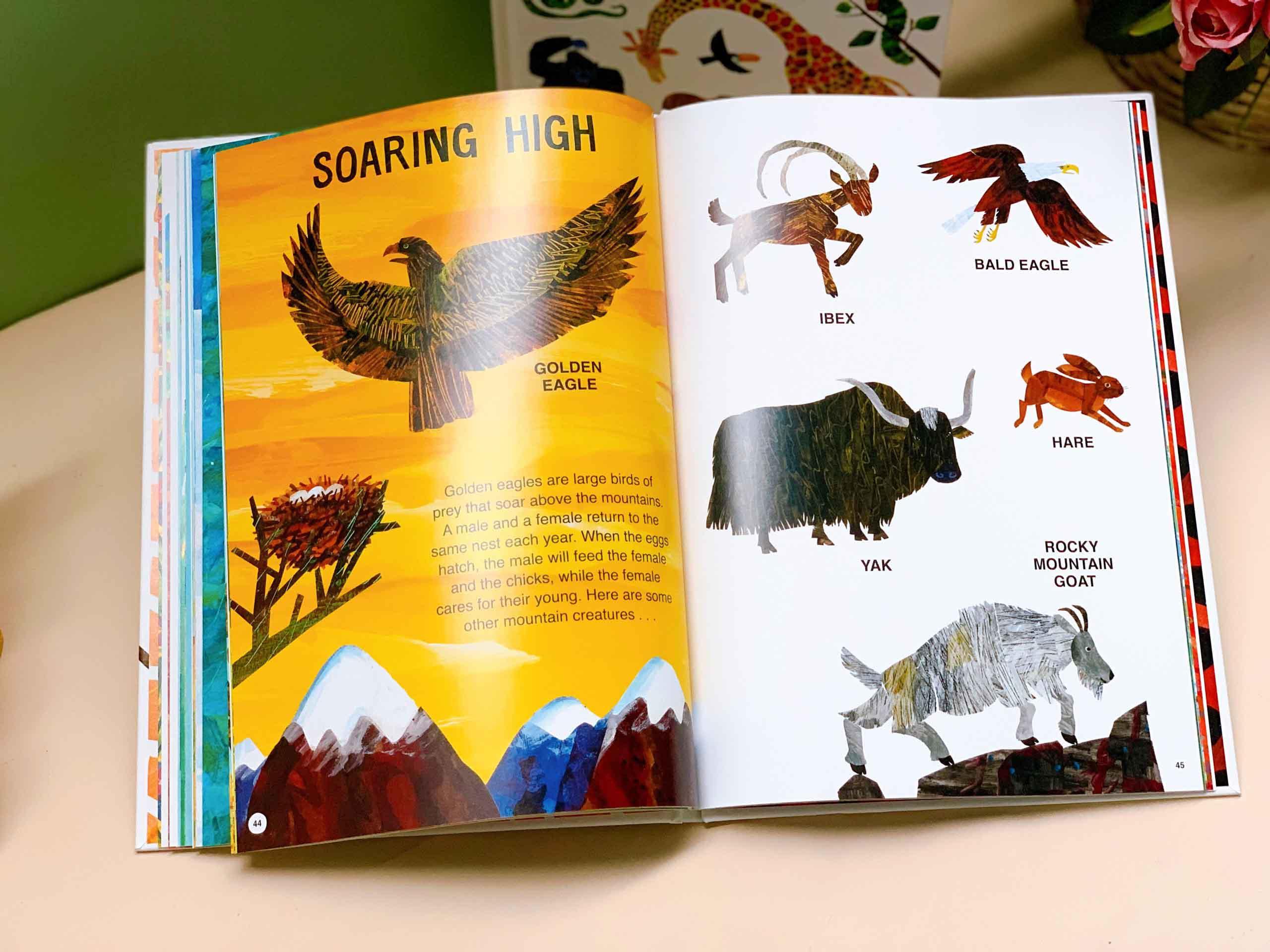 Eric Carle's Book of Amazing Animals