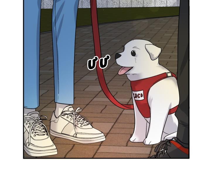 xác suất tình yêu chapter 62 140