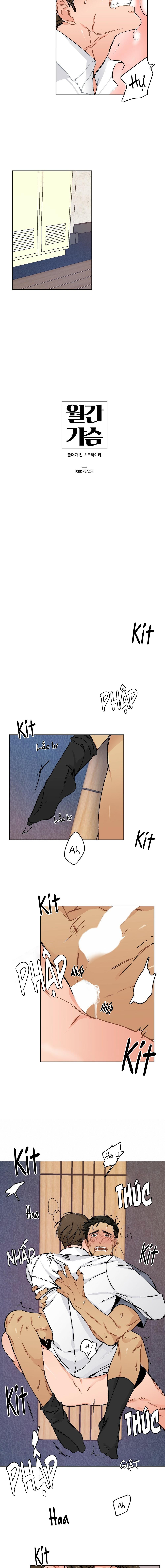 bộ sưu tập ciu to-ngực bự của nhà sẹc chapter 12 2